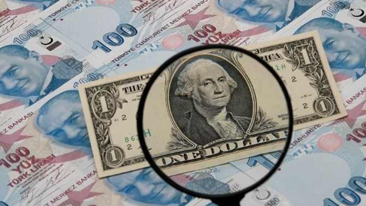 Dolar ve 100 TL