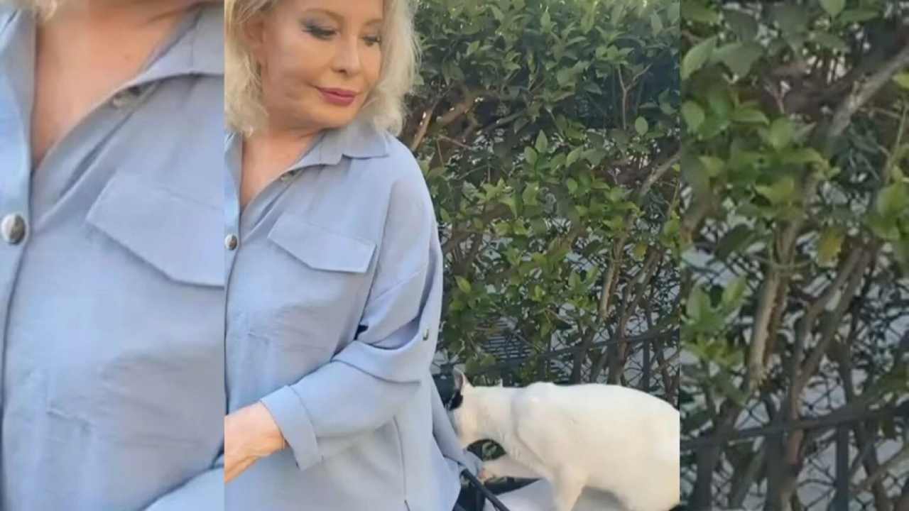 Emel Sayın'dan biricik dostu Pati'ye yürek yakan veda
