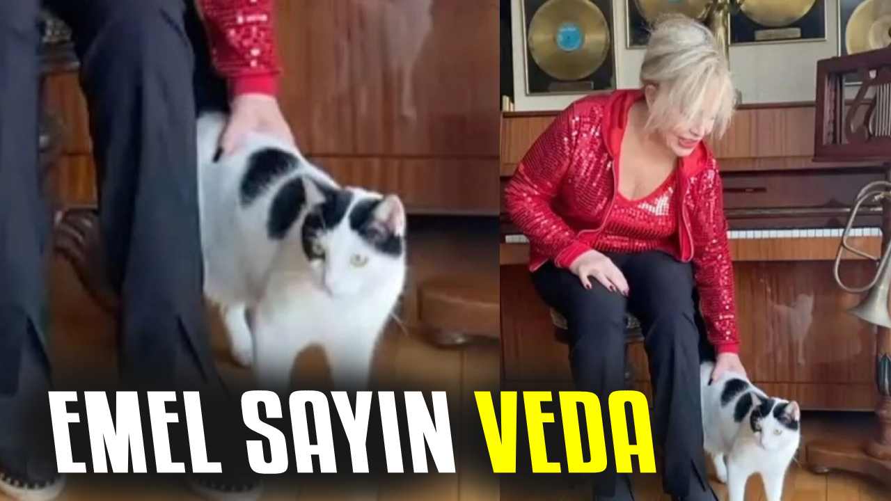 Emel Sayın'dan biricik dostu Pati'ye yürek yakan veda: "Güle güle güzel oğlum" notuyla paylaştığı anılar göz yaşarttı!