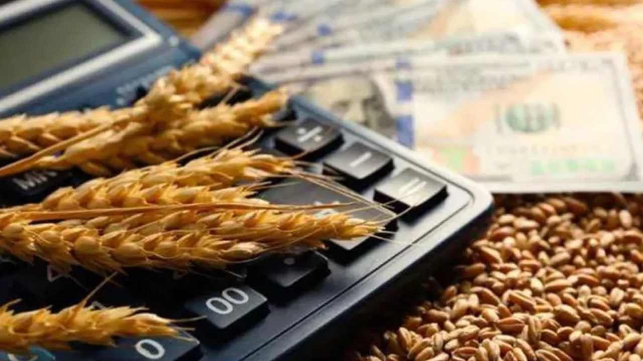 Emtia piyasaları