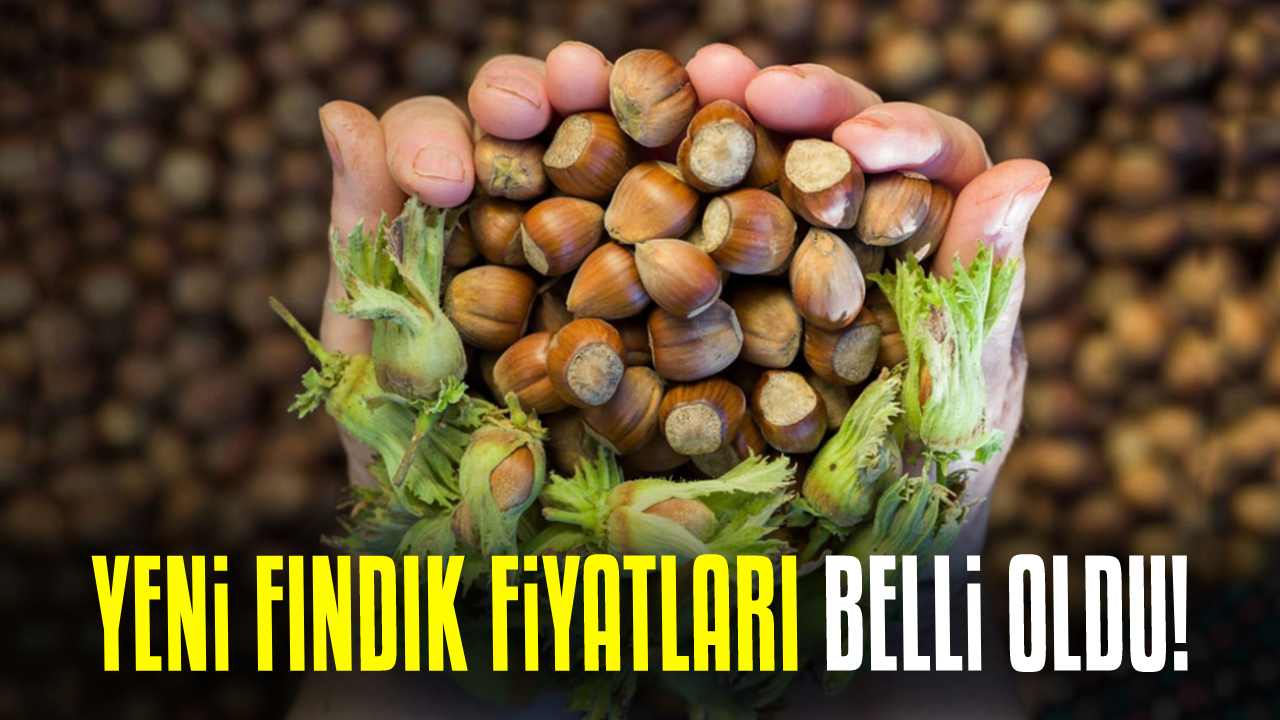 Fındık fiyatları belli oldu