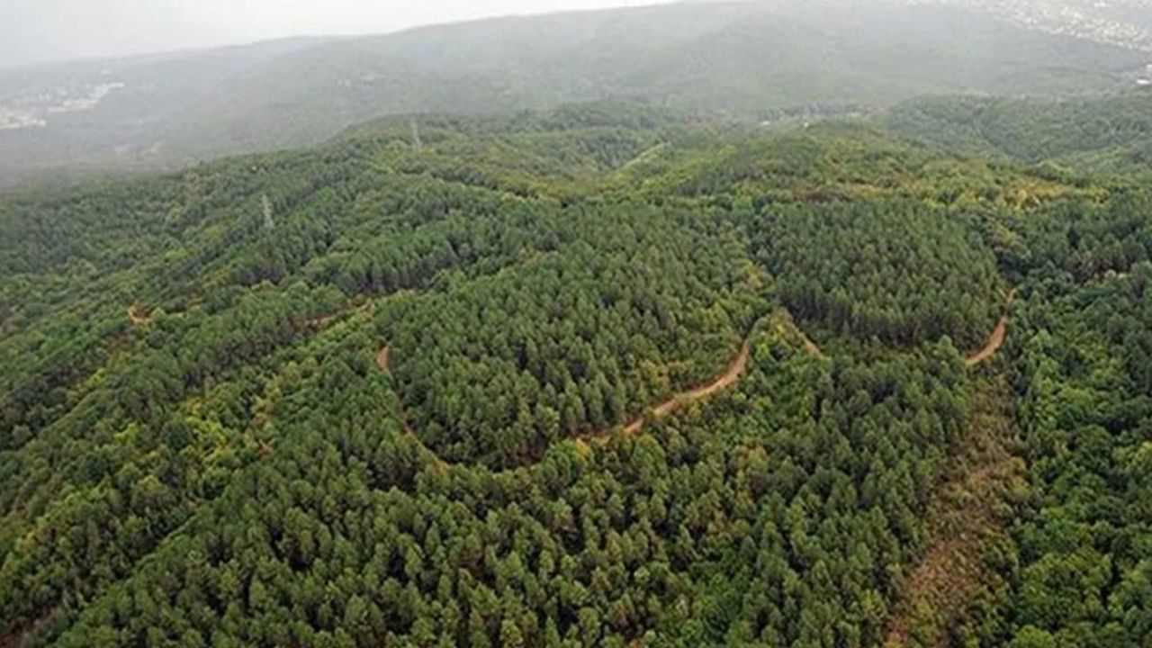 Kırklareli'nde 177 Gün Boyunca Ormanlara Giriş Yasak