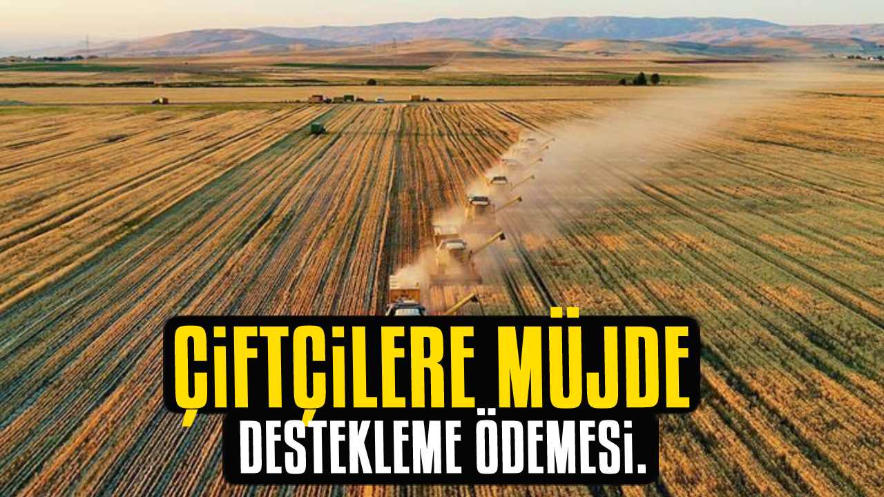 Tarım ve Orman