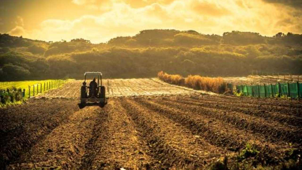 Türkiye Tarımında Devrim Gibi Karar