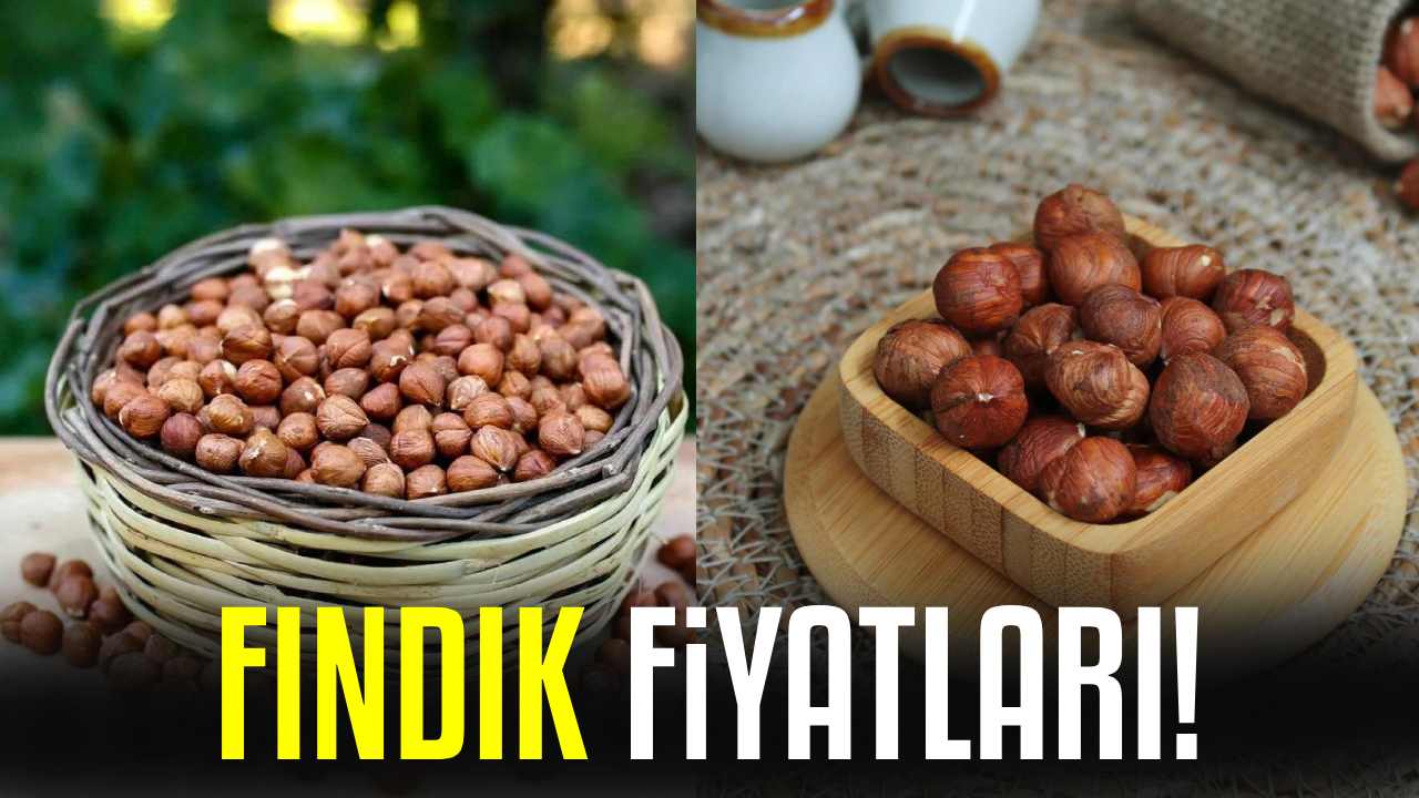 fındık fiyatları
